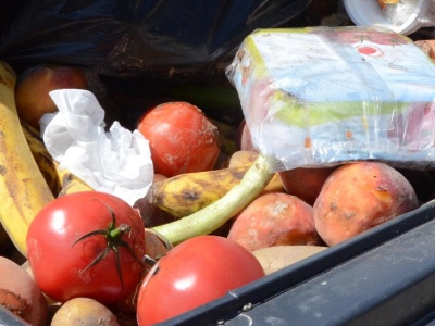 Koniec z workami do bioodpadów. Są nowe przepisy! Mają trafiać do pojemników luzem