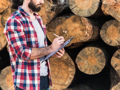 Drewno opałowe może zniknąć jesienią. Specjaliści wskazują jeden kluczowy termin