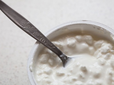 Wygryzł twaróg z lodówek. Dietetycy zachwyceni. Pomaga gubić kilogramy