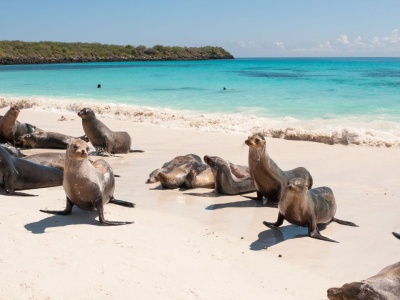 Ile naprawdę kosztuje podróż na Wyspy Galapagos?