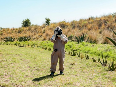 Jak wygląda przekształcenie JDG w spółkę z o.o. i ile kosztuje. Procedura krok po kroku