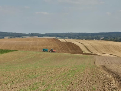 Poślizgnięcie w gospodarstwie a KRUS: czy brak antypoślizgowych butów to rażące niedbalstwo?