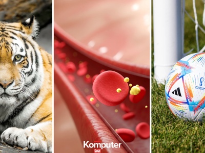 Banalnie prosty quiz z wiedzy ogólnej. 12/15 punktów to obowiązek