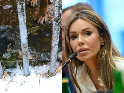 Z Dodą na lodówce