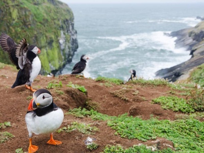 Można za darmo zamieszkać na rajskiej wyspie. Jest haczyk