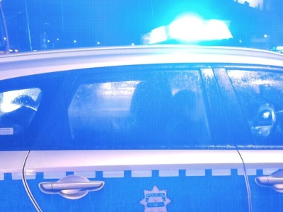 Zderzenie auta z łosiem. Na miejscu pracują służby ratunkowe