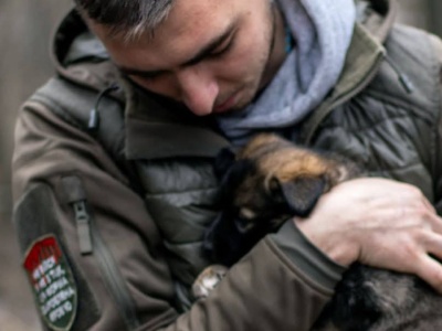 Psy frontowe bliższe wilkom. Inwolucja gatunku na Ukrainie