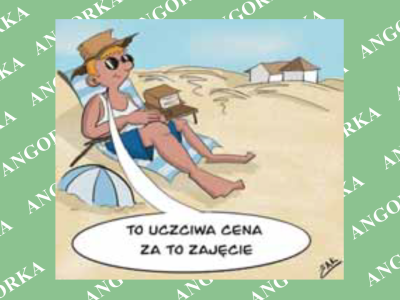 Wyspa z 45 mieszkańcami oferuje pensję i dach nad głową