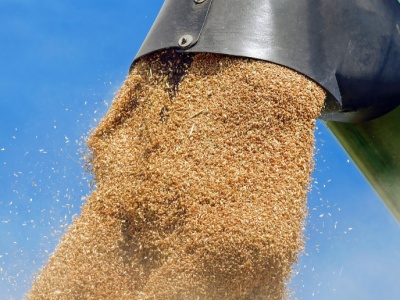 Rosyjski Łukoil chciał handlować zbożem. Amerykanie pokrzyżowali mu plany