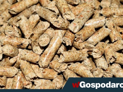 Ceny pelletu oszalały