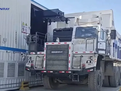 Boonray i BYD pokazują, jak będzie wyglądać wydobycie przyszłości