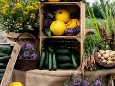 Wrocławska Farma Miejska na Swojczycach kończy dwa lata. Została powiększona o kolejny hektar!