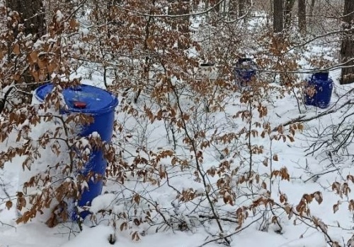 Beczki po kwasie solnym porzucone w lesie. W jednej wciąż znajdowały się 2 litry żrącej substancji
