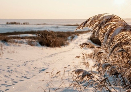 Lód zamiast asfaltu. Otwarto drogę po zamarzniętym Bałtyku