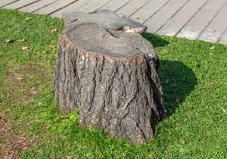 Wsyp do pnia. Usuniesz go bez koparki