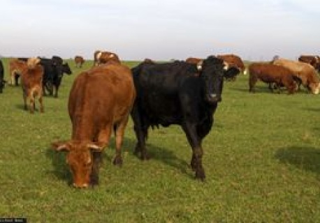 Pierwszy taki transport z kraju Mercosur. Oto szczegóły