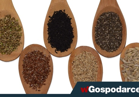 Siemię, babka płesznik, a może nasiona chia – co wybrać?