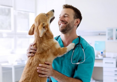 Obowiązek czipowania zwierząt coraz bliżej. Zapłacisz, ale nie tak dużo jak myślisz