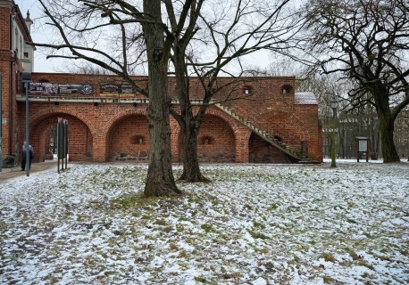 W Stargardzie będą nowe nasadzenia