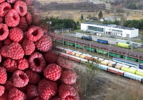 Ukraiński eksport owoców świeżych i mrożonych rośnie wbrew okolicznościom