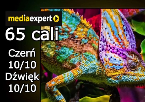 Ależ promocja na walentynki. Najlepszy model telewizora Hisense 1000 zł taniej