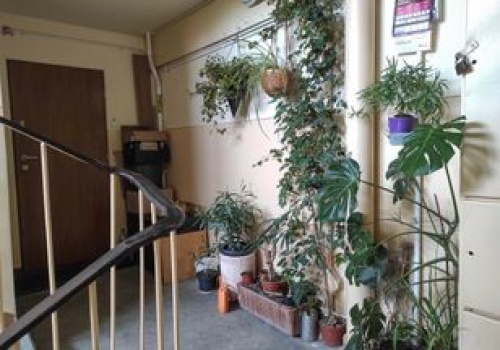 Koniec z automatycznym dziedziczeniem tych mieszkań. Zmiany w prawie