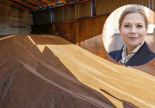 Eksport zbóż i ryzyko Mercosur. 