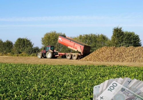 Kryzys na rynku cukru. Gigant zamyka cukrownię