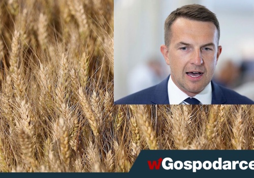 Pellet po 4,5 tys. zł. Rolnicy: 