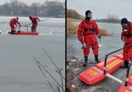 26 martwych łabędzi w okolicach Legnicy. Atak ptasiej grypy?