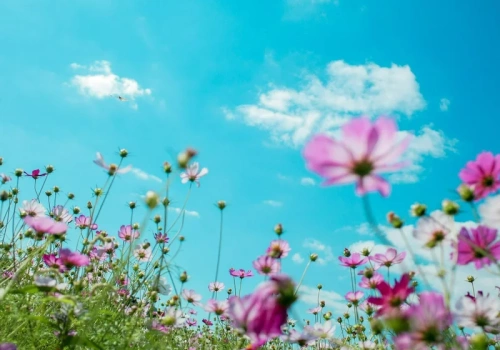 Długoterminowa prognoza pogody dla Polski. Wiemy, jaka będzie Wielkanoc