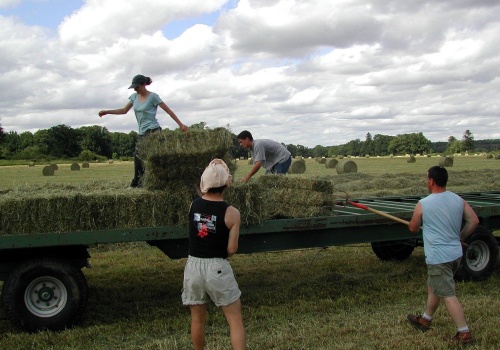 Pomocnik rolnika. Zbliża się termin zapłaty za styczeń