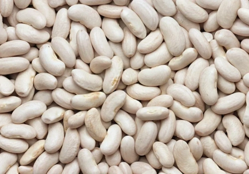 Znane od dawna, rozwiązują problemy przyszłości. Co dalej z roślinami strączkowymi?