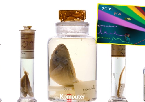 Naukowcy strzelają laserem do słojów Darwina. Okazy spędziły 200 lat w alkoholu