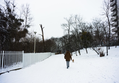 Śnieg i mróz nie obalają zmian klimatu, mogą za to pomóc wodom w Polsce