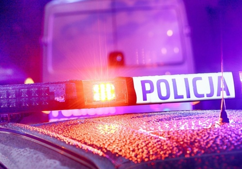 Makabryczne odkrycie. Ludzkie szczątki znalezione w rowie