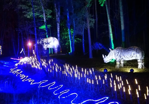 Ostatnie dni Lumina Parku ze specjalną promocją. Królestwo zwierząt za kilka dni nas opuści