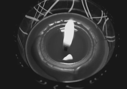 Łucja Kossakowska nie żyje. Wielka strata dla polskiej kultury