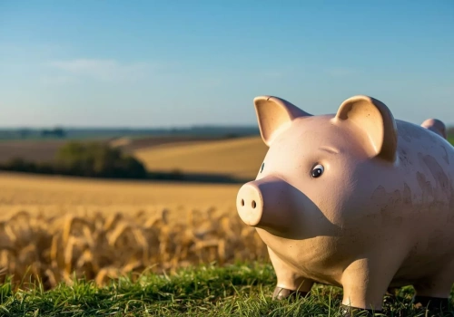 Ceny skupu w dół o 10,9%, a rolnictwo tonie w długach. Który sektor w najgorszej sytuacji?