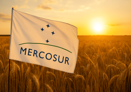 Bruksela spuszcza hamulec bezpieczeństwa. Nowe tarcze dla rolników przed Mercosurem