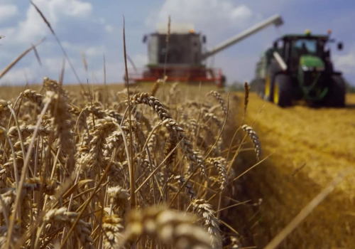 USDA: zbiory pszenicy już przestają rosnąć, największe zmiany w eksporcie