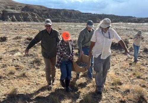 11-latek spacerował z dziadkami. Znalazł skarb sprzed 50 mln lat