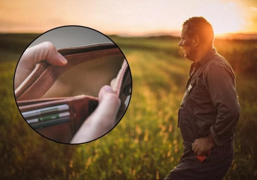 Ceny skupu mocno w dół. Najgorzej u producentów mleka, świń i zbóż