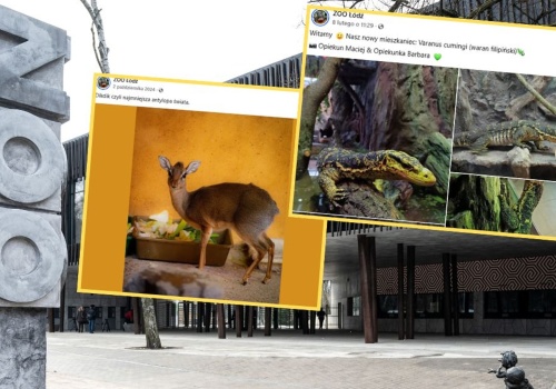 Łódzkie zoo chwali się sukcesem. W ogrodzie pojawiły się nowe zwierzęta