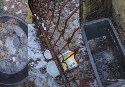 Wstrząsające! Psy pozostawione na mrozie z pustymi miskami – interwencja policji