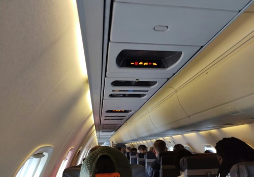 Stewardesa zalała jej torebkę Louis Vuitton. Pasażerka zażądała 7 tys. dolarów odszkodowania