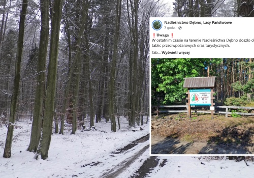 Leśnicy apelują. Doszło do kradzieży