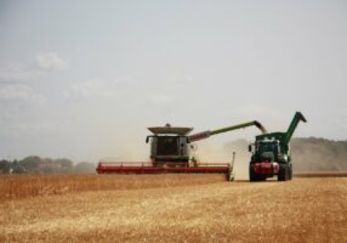 Nowe prawo dla mieszkańców wsi. Zmienią się zasady sporów z rolnikami