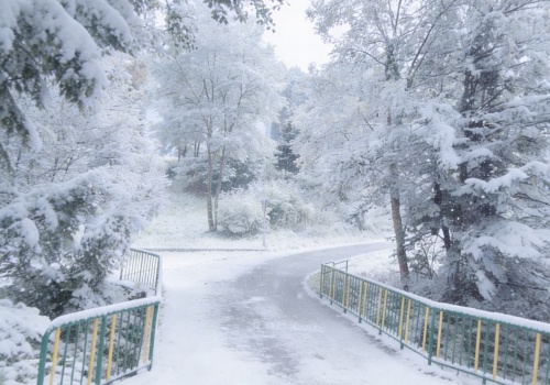 Łyse piękno Małopolski. To tutaj jeden eksperyment ożywił całą wieś, teraz ma już 700 lat