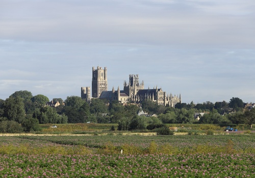 Masowy grób wikingów zawiera szczątki olbrzyma. Przed śmiercią zrobili coś z jego czaszką